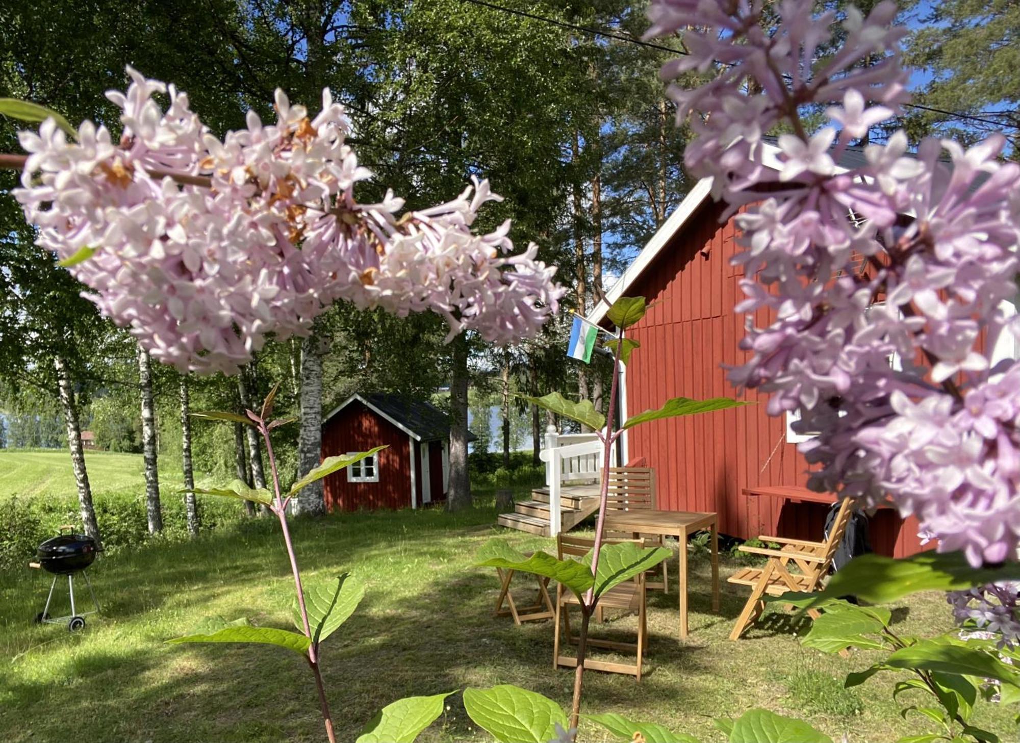 Sunshine Stuga Bergvik Gallo Экстерьер фото